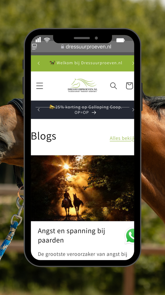 Bloggers gezocht!
