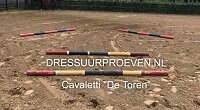 Cavaletti oefening "De Toren"
