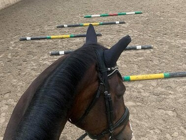 Cavaletti oefening "De Golf"