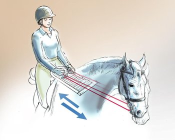 Om het gevoel te krijgen hoe je de mond van je paard met gevoel kunt volgen in de galop ...