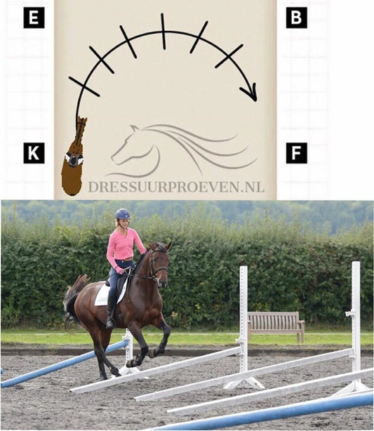 Verhoogde galopbalken