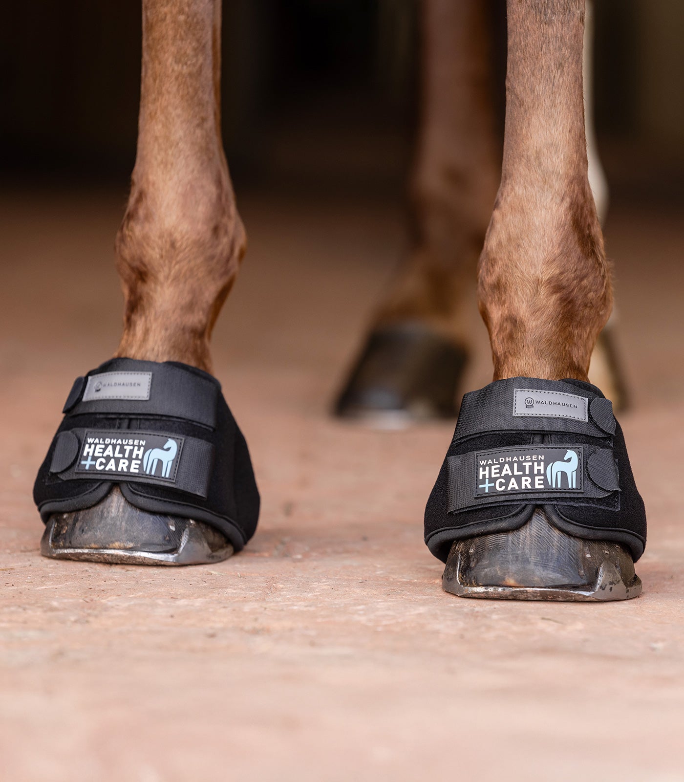 Koelspringschoenen