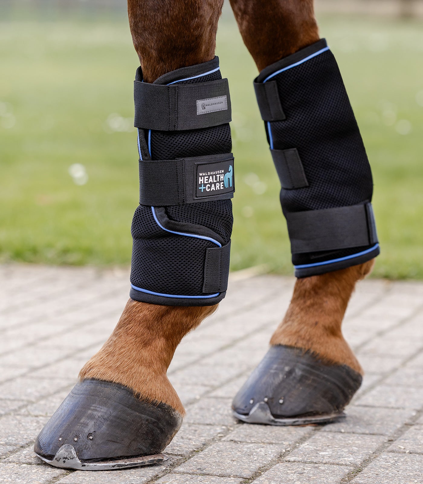 Waldhausen Health + Care Ice Layer Boots