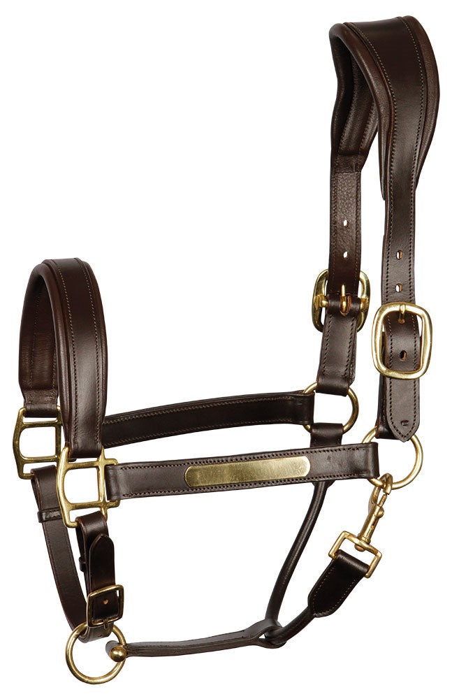 Halster leder Anatomic optie naam graveren