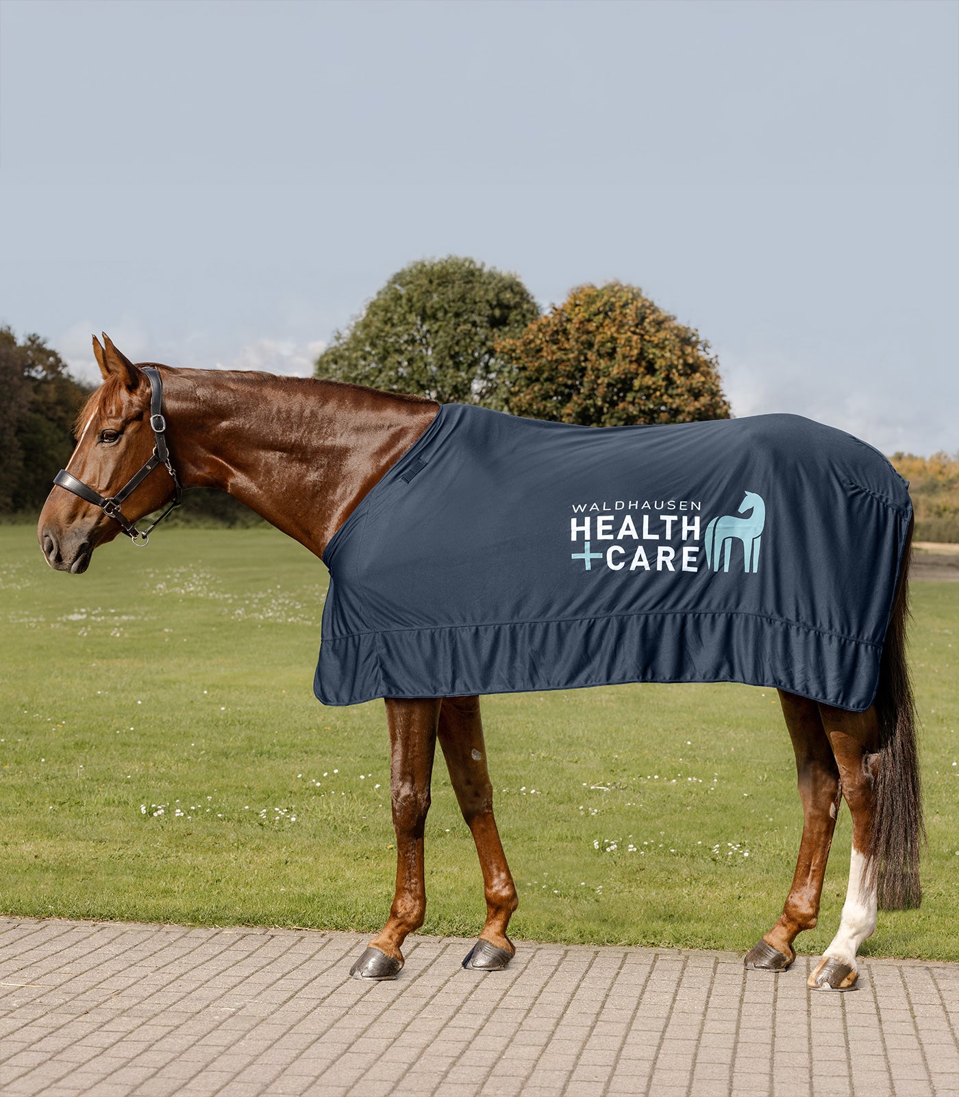 W-heaLth & care Ice Layer deken