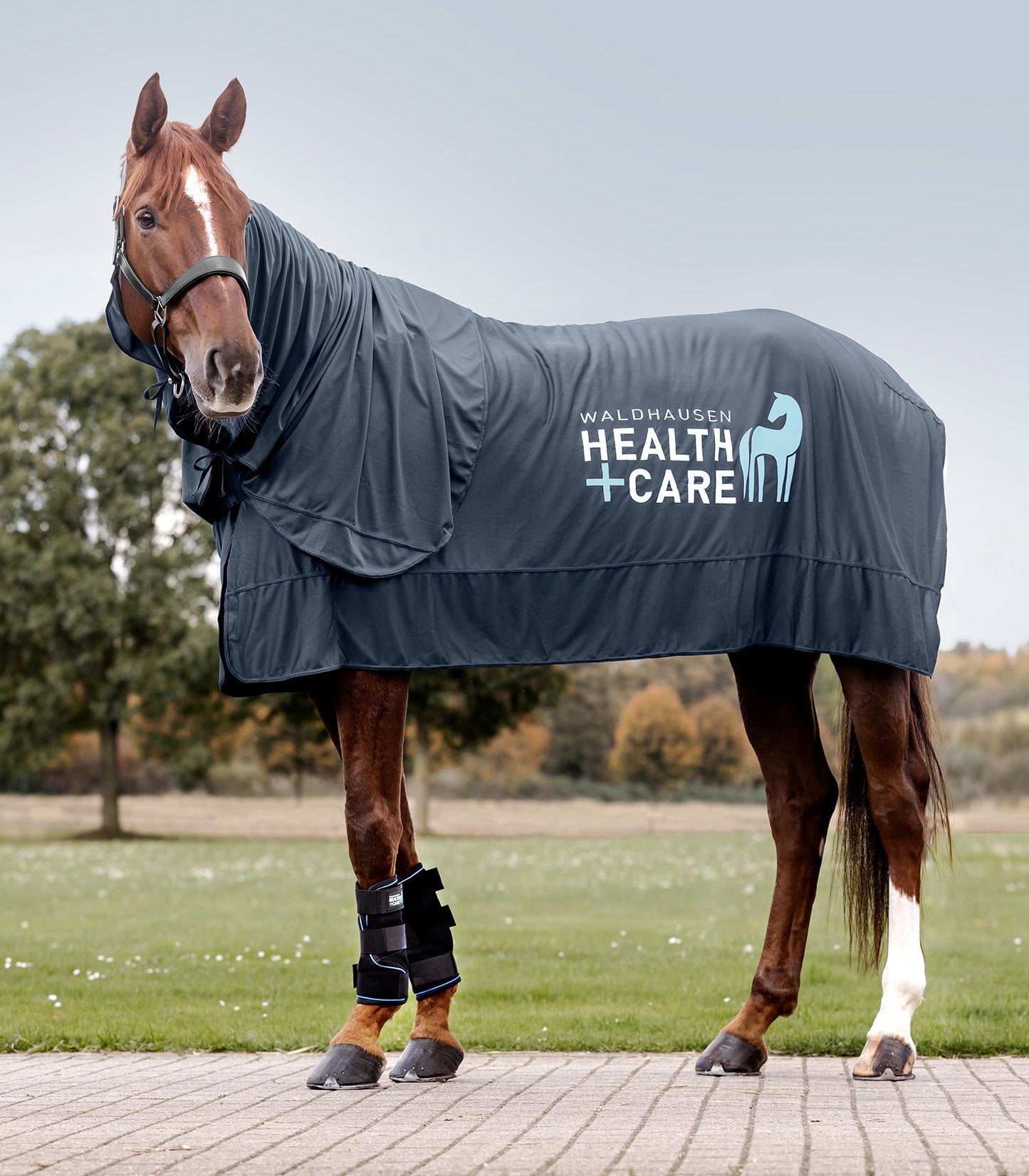 W-heaLth & care Ice Layer deken