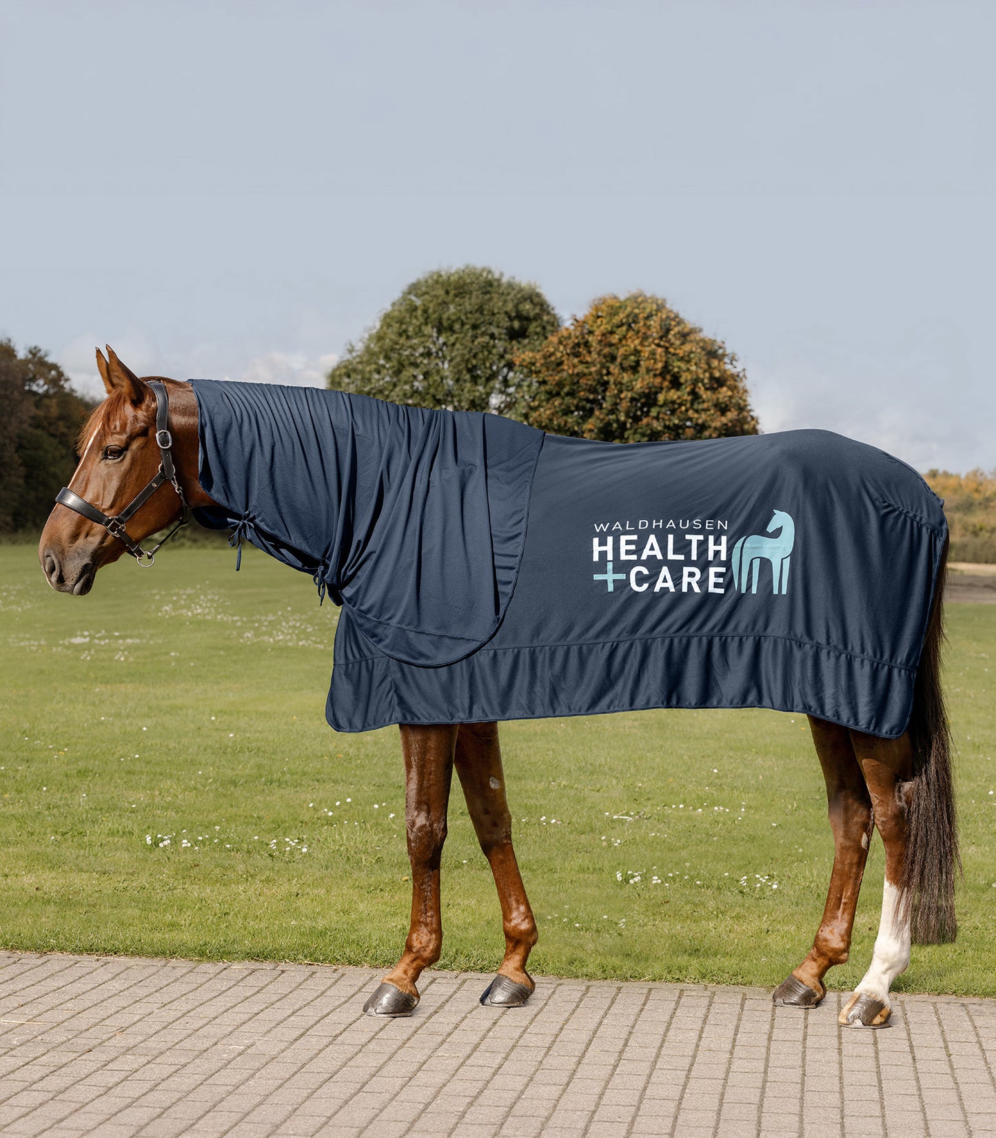 W-heaLth & care Ice Layer deken
