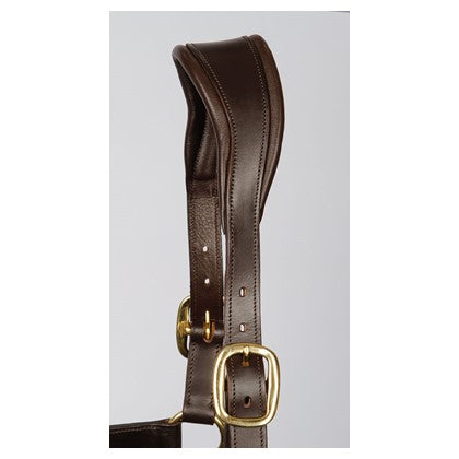 Halster leder Anatomic optie naam graveren