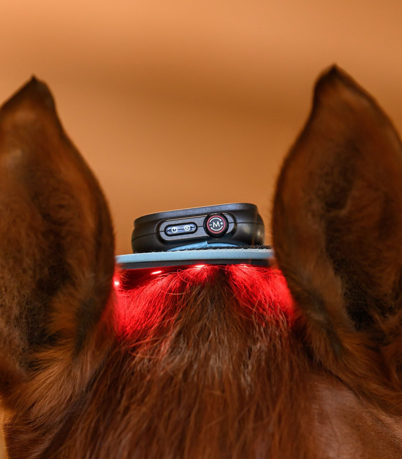 Waldhausen Health + Care Infrarood FlexPad