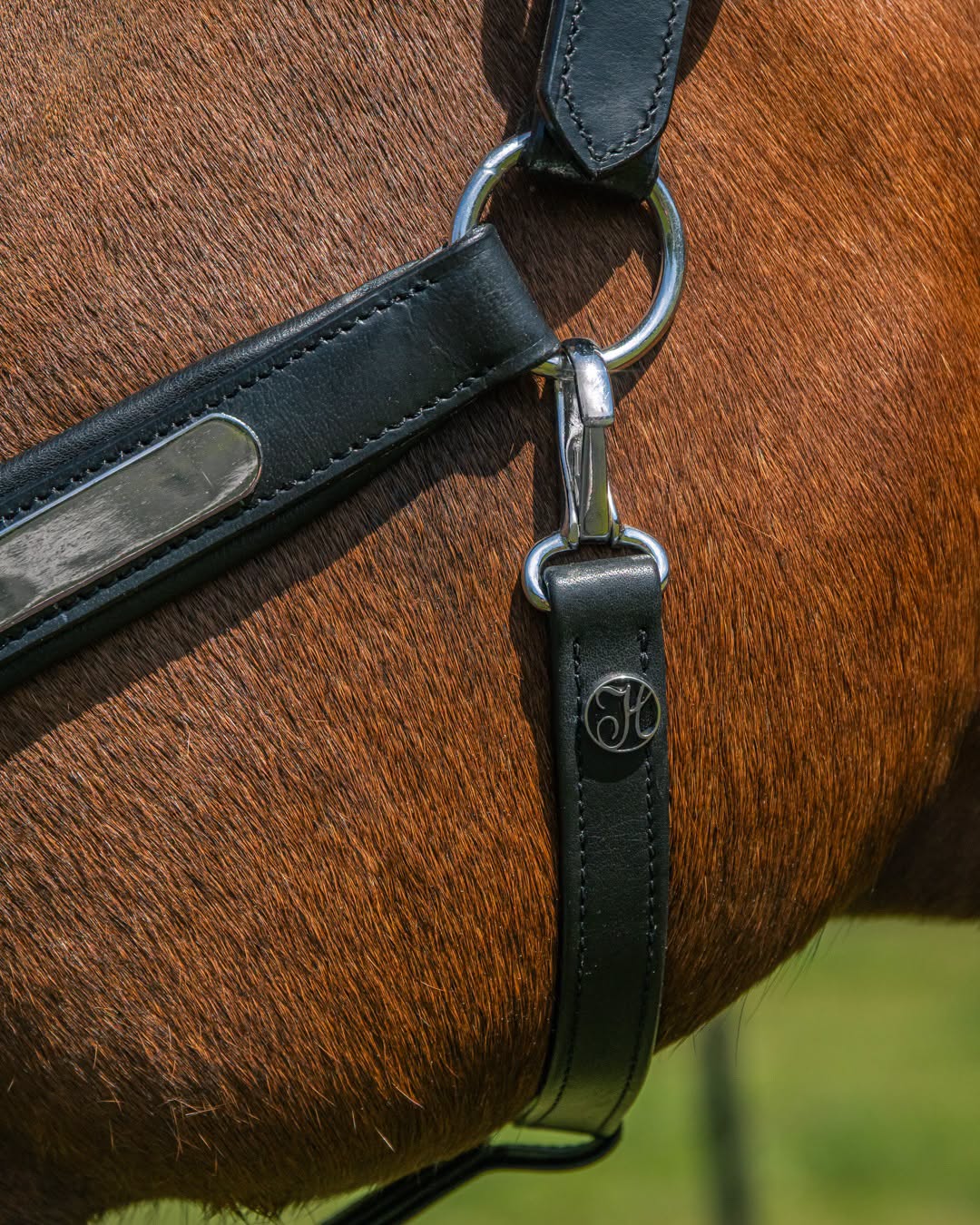 Halster leder Anatomic II optie naam graveren