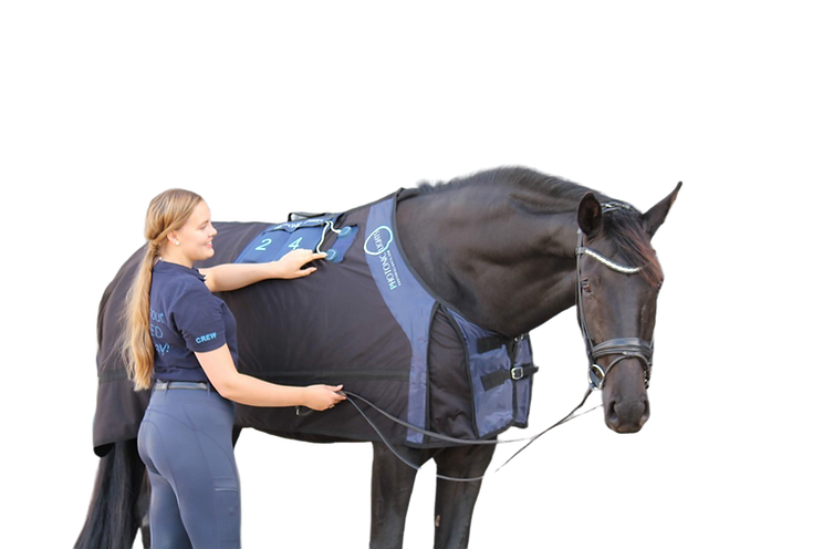 Photonicl Lghts Premium Therapy-Tec
