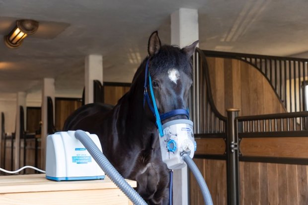Ultrasound Inhalatieapparaat voor paarden AirOne