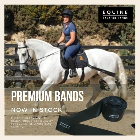 Huur Equine Balans Banden/Equine Balance Bands