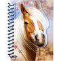 Paardenvriend Notitie boekjes