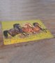 Placemat Paarden