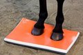 SURE FOOT Equine Full Physiopad