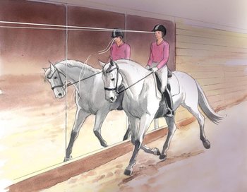 Om het evenwicht van je paard op de door jouw gekozen lijn te verbeteren ...