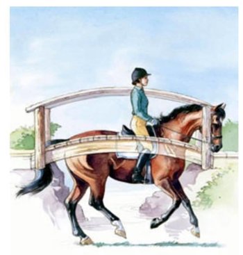 Topline training