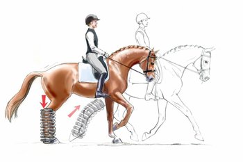 Om een voorwaarts-voor-het-been-gevoel bij je paard te ontwikkelen ...