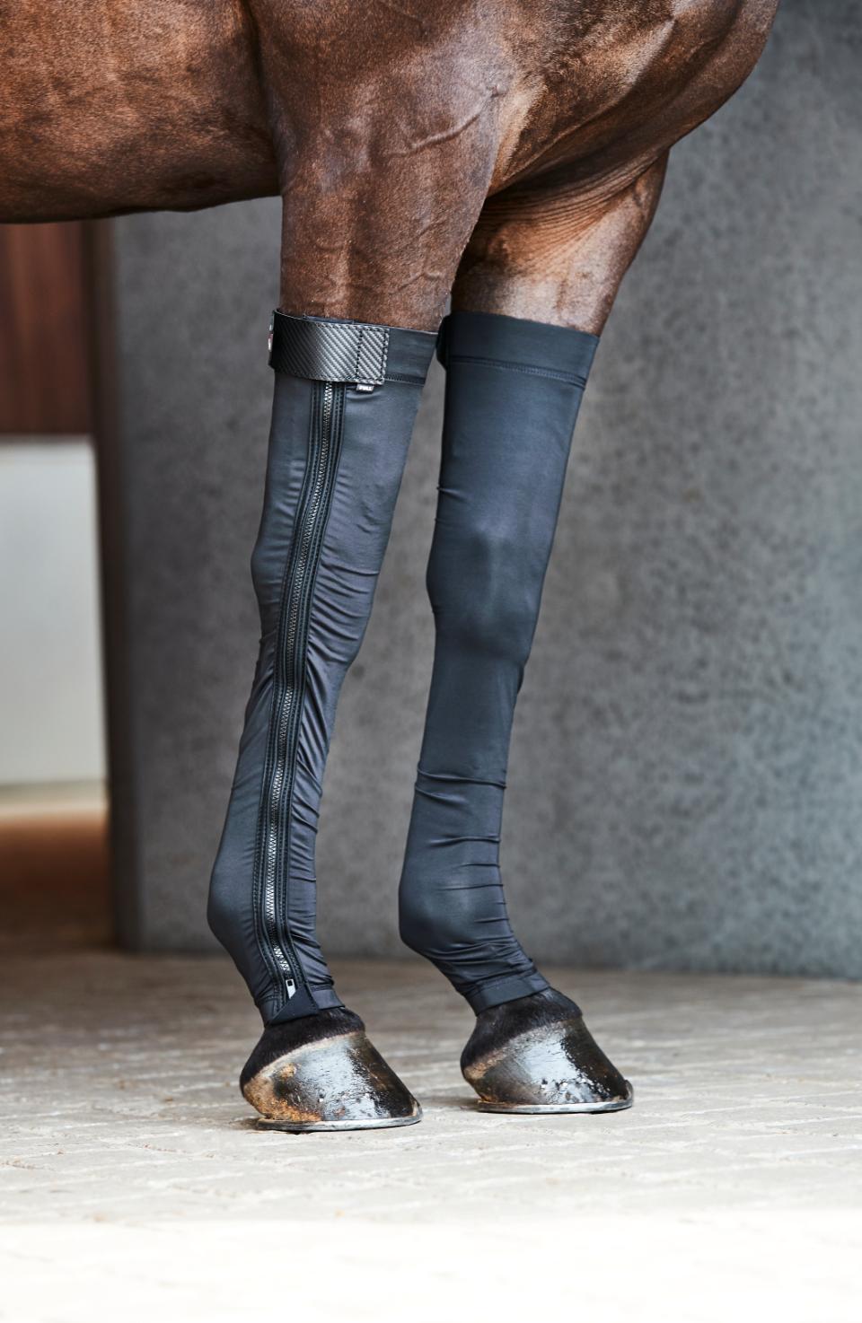 Catago FIR-Tech Stocking front legs
