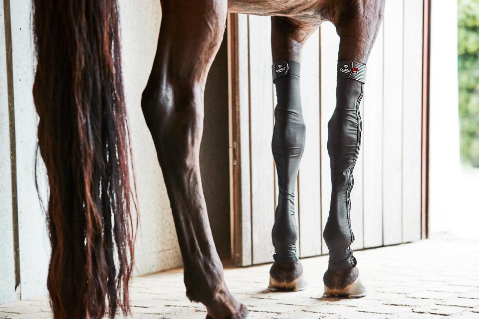 Catago FIR-Tech Stocking front legs