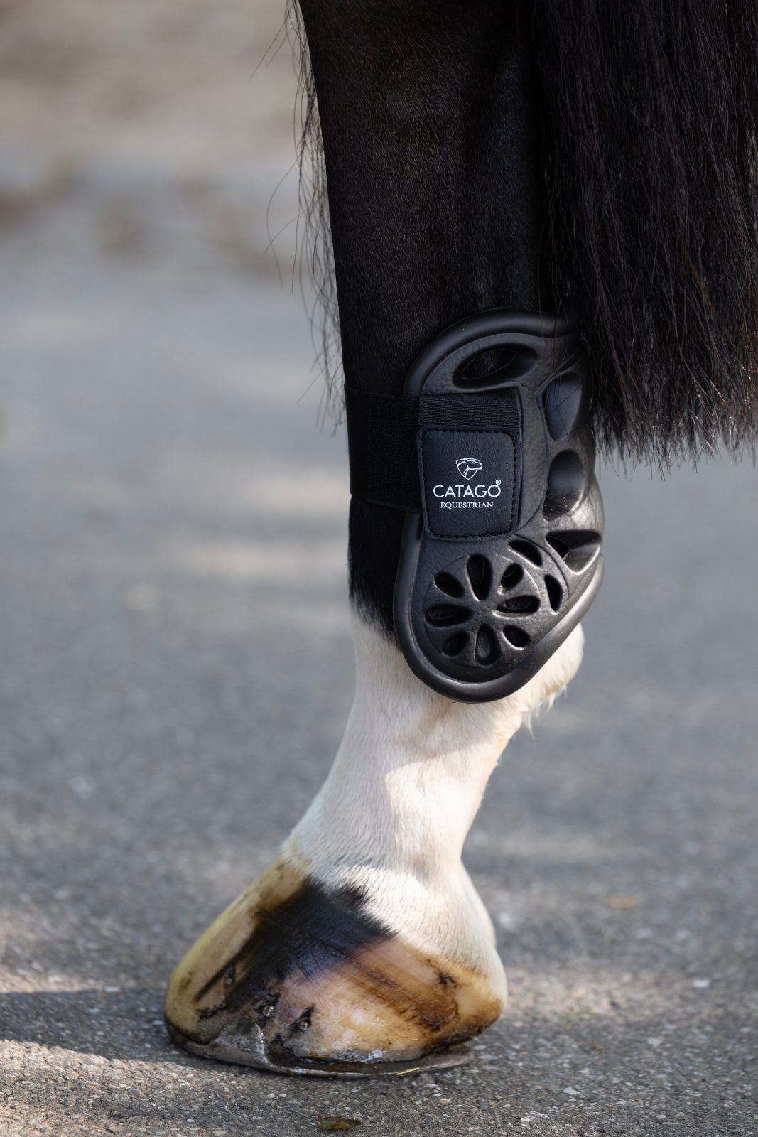 Catago Eva kogelbeschermers