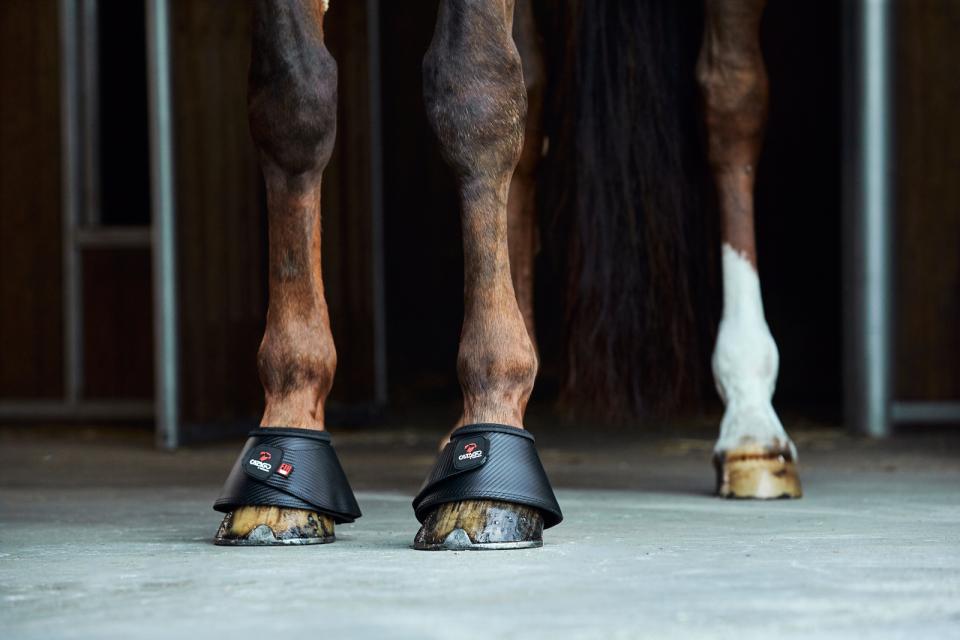 Fir-Tech Springschoenen