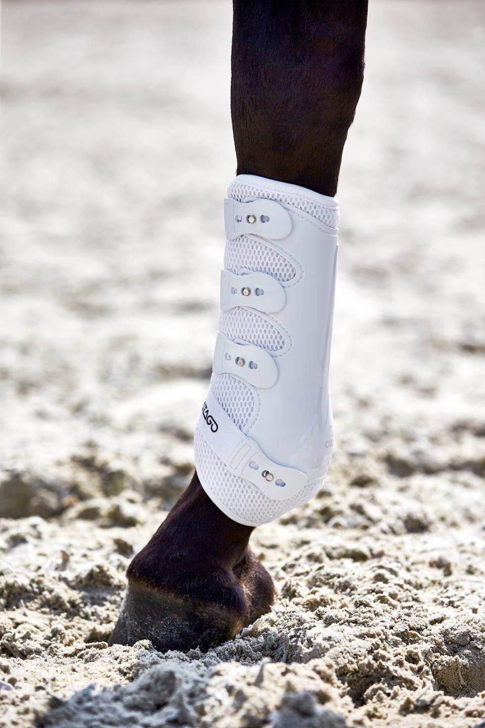 CATAGO FIR-Tech dressuurbeschermers