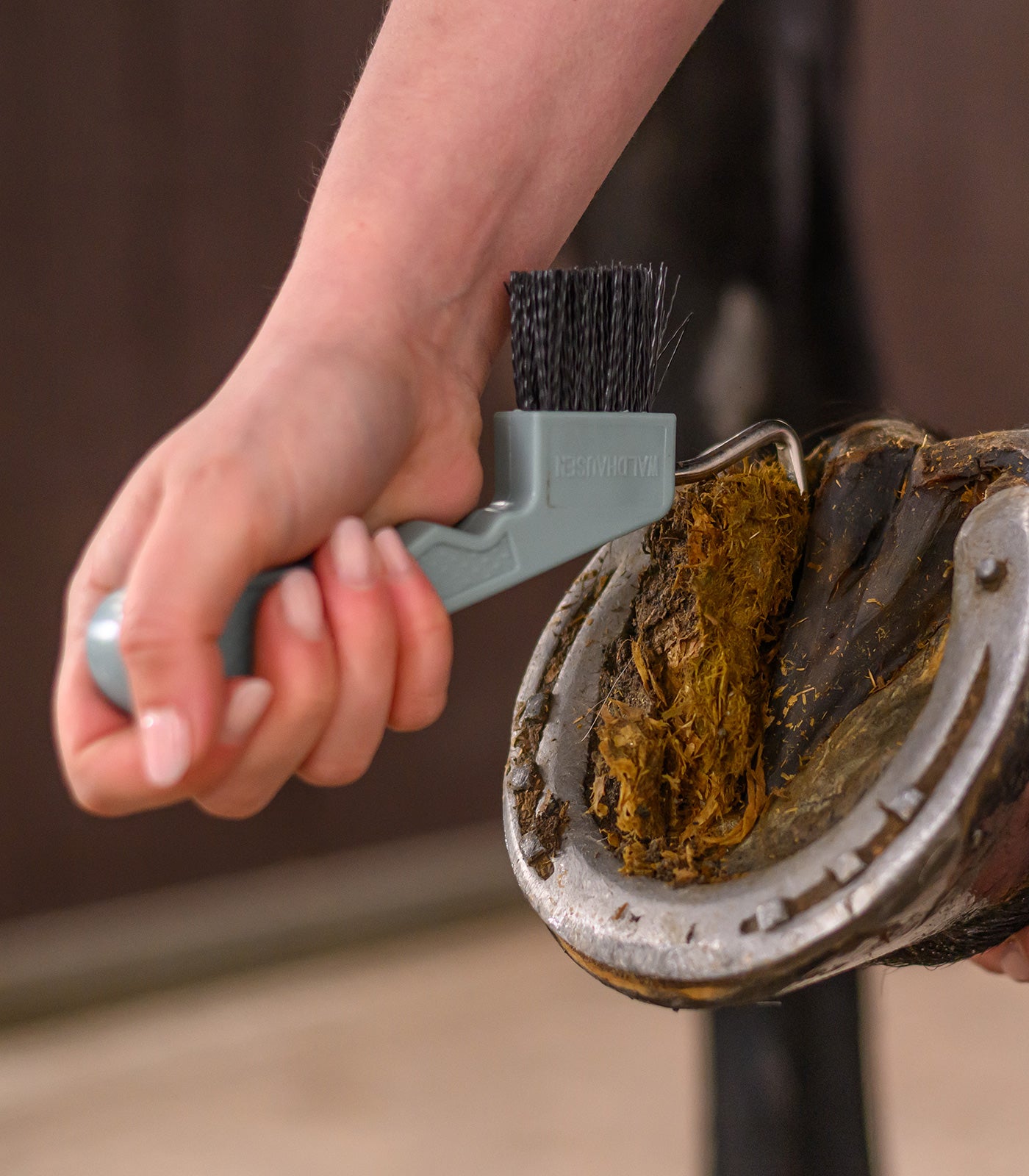 Hoevenkrabber Magnetisch