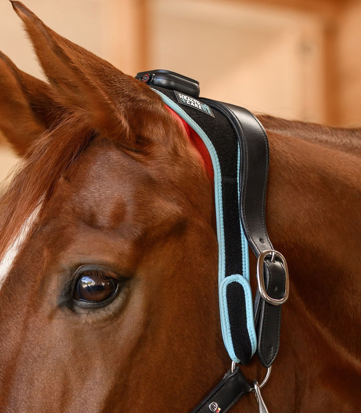 Waldhausen Health + Care Infrarood FlexPad