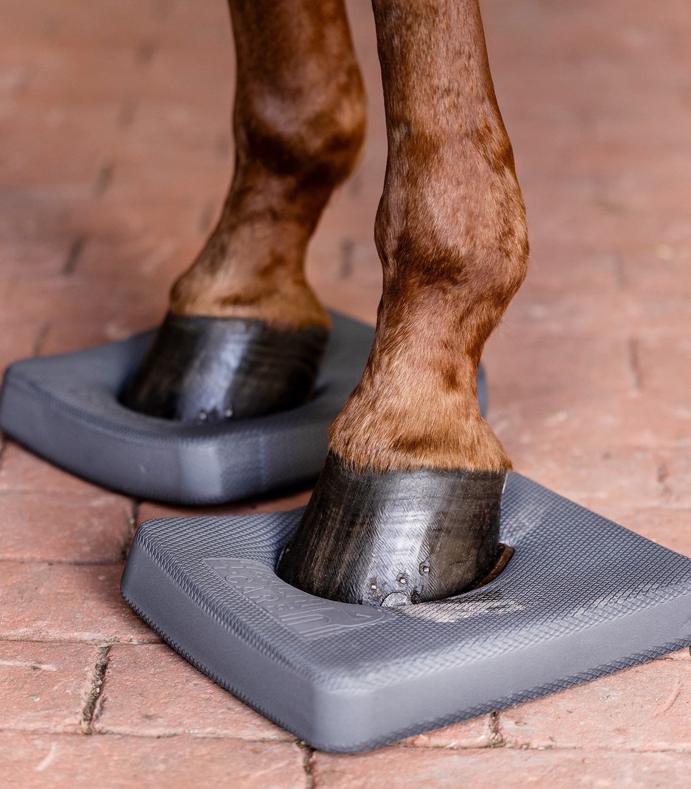 Waldhausen Balanskussens