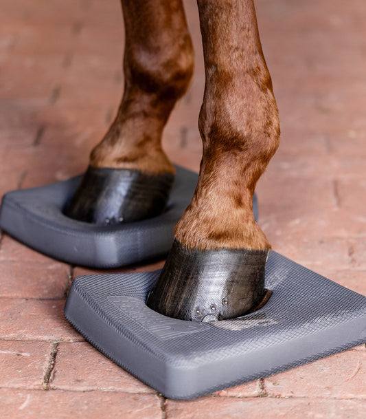 Waldhausen Balanskussens