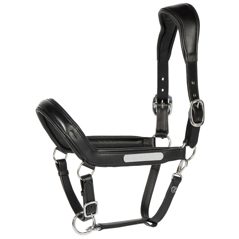 Halster leder Anatomic II optie naam graveren