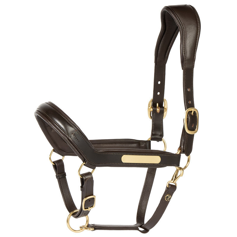 Halster leder Anatomic II optie naam graveren