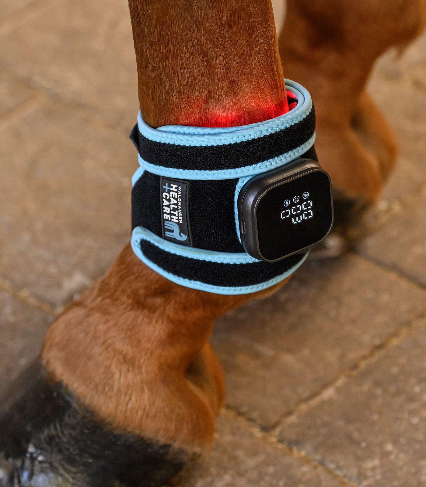 Waldhausen Health + Care Infrarood FlexPad