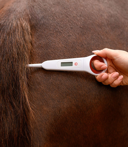 Digitale koortsthermometer voor paarden