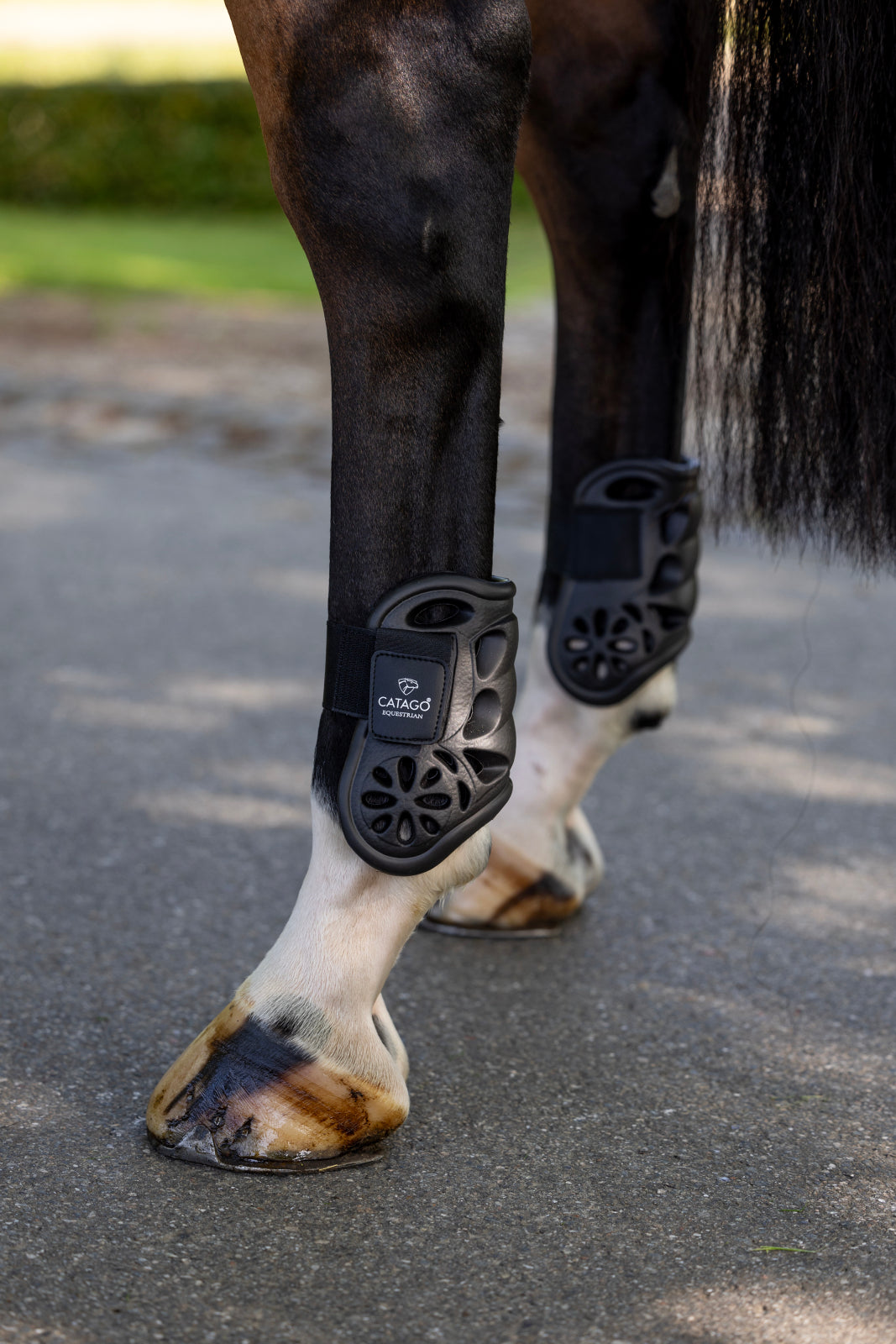 Catago Eva kogelbeschermers