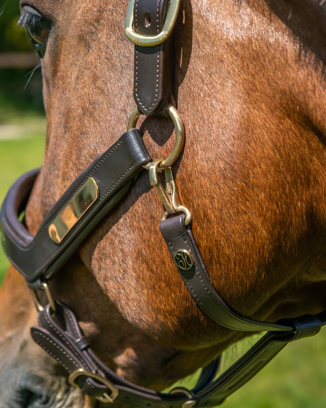 Halster leder Anatomic II optie naam graveren
