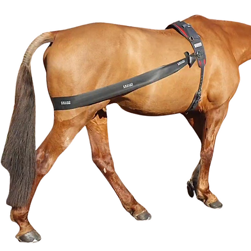 Equine Balans Band voor longeren