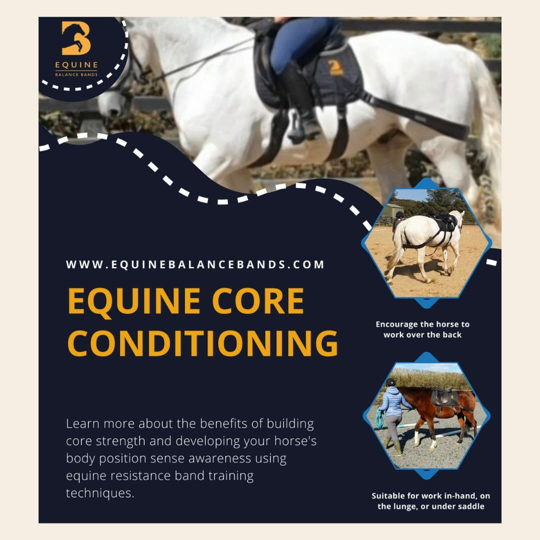 Equine Balans Banden conversion kit