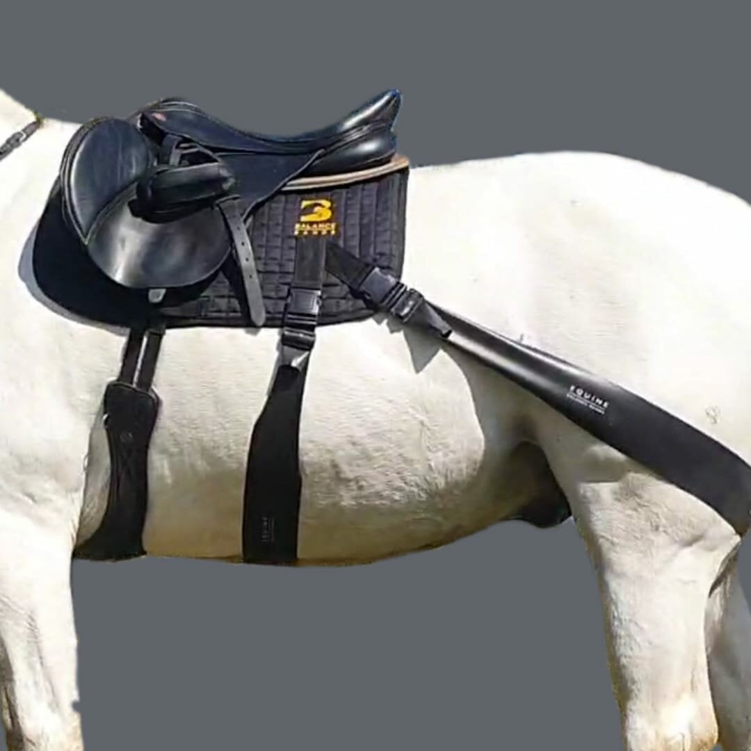 Equine Balans Banden conversion kit